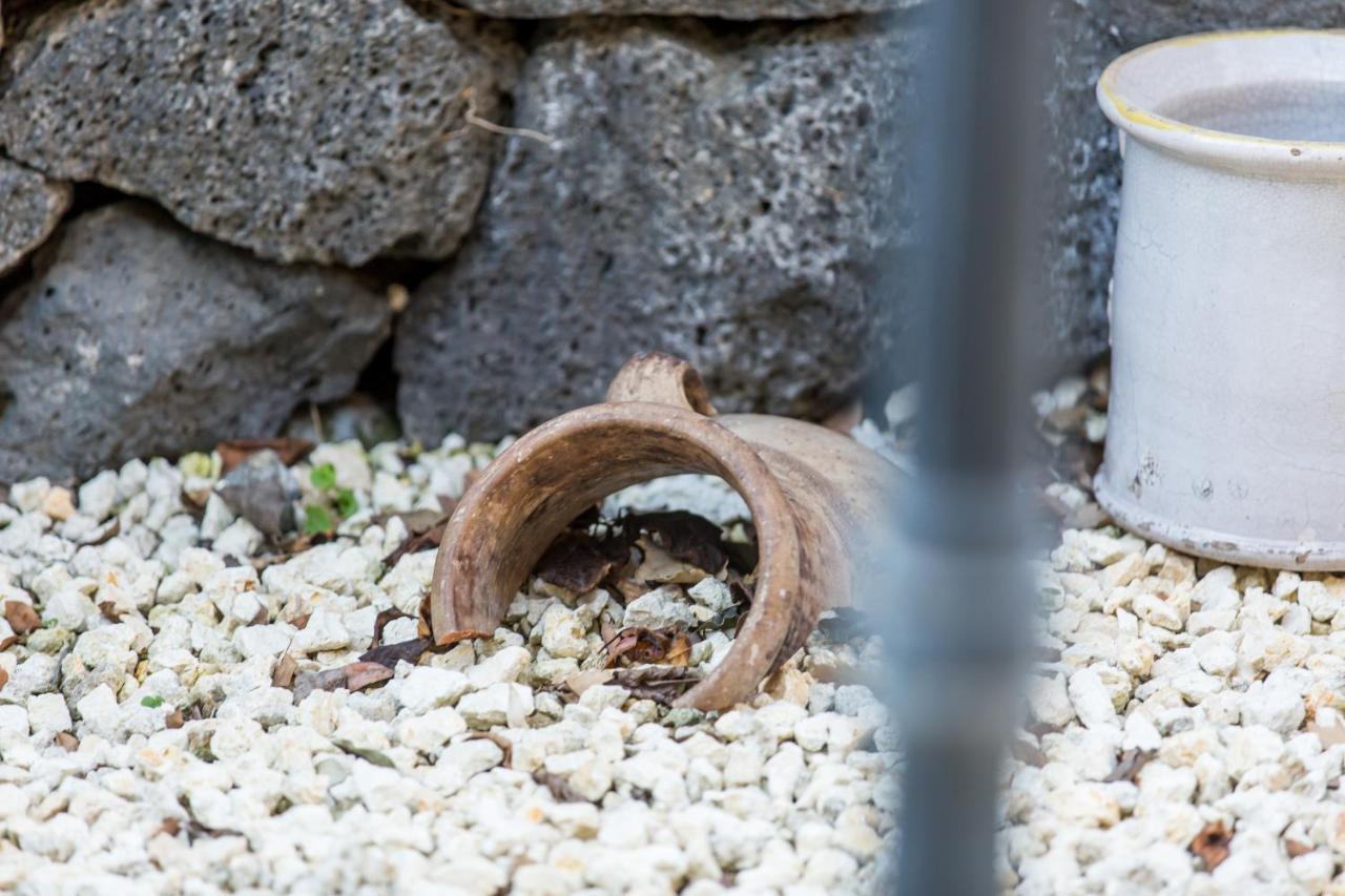 Gli Ulivi Dell'Etna Hotel Linera Bagian luar foto